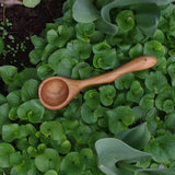 Coffee Scoop